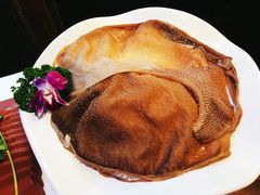 比脸大的毛肚-锅说大脸毛肚重庆老火锅(佐阾店)