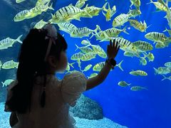 -成都浩海立方海洋公园