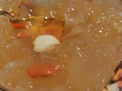 -無牌小范·香港明星美食