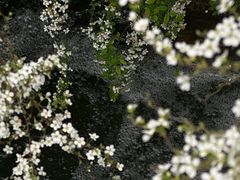 -中国茶叶博物馆(双峰馆区)