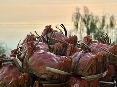 -火福·天湖阁大闸蟹博物馆主题餐厅(浅水湾店)