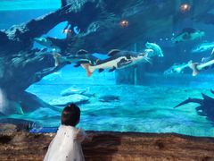 -华夏文旅海洋公园