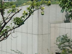-苏州清山会议中心