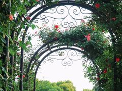 -上海交通大学(闵行校区)