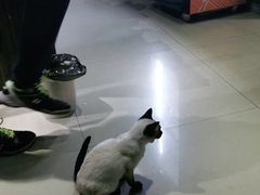 -奇门密室(五一新干线店)