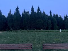 -汉长安城未央宫国家考古遗址公园