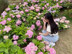 -广西壮族自治区药用植物园