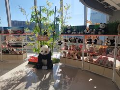 -IMON·HANSA潮玩玩偶毛绒玩具(通州万象汇店)