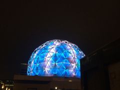 -北京观赏动物医院·24小时大型综合·猫专科·异宠专科