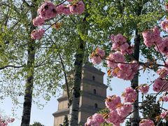 -大慈恩寺(大雁塔)