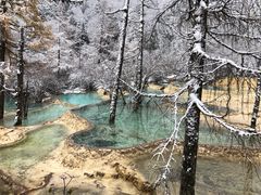 -黄龙山原始森林景区