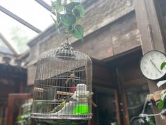 -束河人家(南锣鼓巷店)