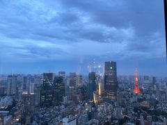 -六本木新城展望台(东京城市景观)