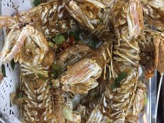 椒盐游水濑尿虾-蚝得喜海鲜(东城店)