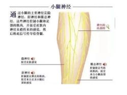 -河南中医药大学第一附属医院-医疗整形
