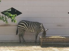 -青藏高原野生动物园