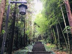 -杭州半山国家森林公园