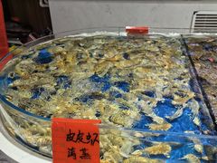 -北塘海鲜·天津菜(大光明桥旗舰店)