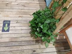 -原鄉本味 楚菜 丹江口鱼(北苑店)