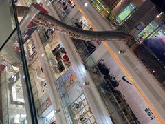 -巴黎春天(浦建店)