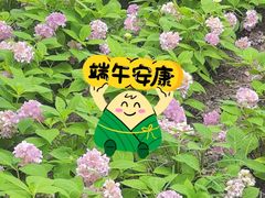 -金银湖国家城市湿地公园