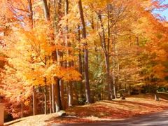 -回龙观体育文化公园