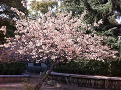 -湖北中医药大学(昙华林校区)