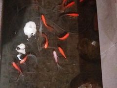 -蓉城老妈火锅(双林路店)