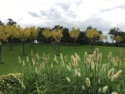 -大望京儿童游乐场