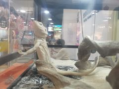 -乐宠宠物店(世纪金源店)