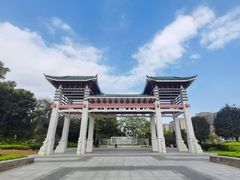 -王借岗森林公园