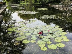 -星巴克(西湖天地店)