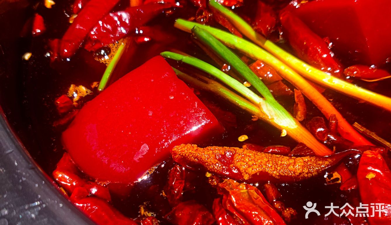 💥超级美食狂热者在这里!💥