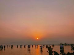 -呈贡滇池生态湿地公园