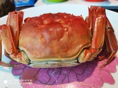 -蟹榭·本帮江浙菜·蟹宴(五角场合生汇商场店)