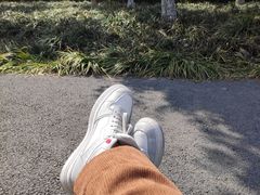 -九科绿洲