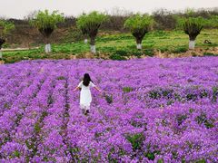 -汉长安城未央宫国家考古遗址公园