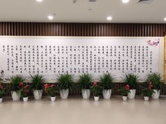 -北京中医药大学东直门医院(通州院区)