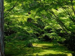 -三千院