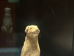 -隋唐大运河文化博物馆