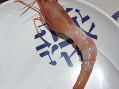 -东菊料理(吉利购物广场店)