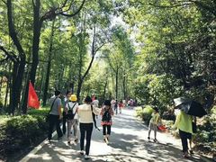 -石燕湖生态旅游景区