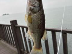 -苏州太湖国家湿地公园