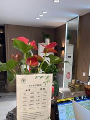 -SA MI hair salon烫染沙龙