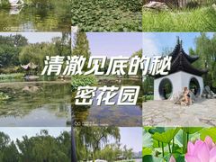 -陶然亭公园