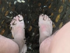 -三亚亚龙湾金棕榈度假酒店