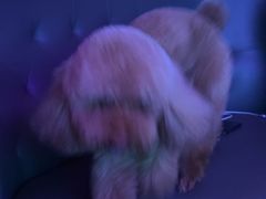 -星聚会KTV X PARTY K(上海东方渔人码头店)