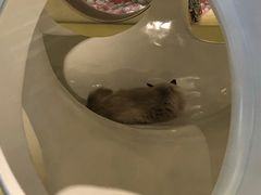 -中海环宇荟