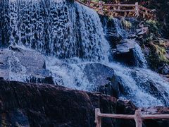 -鼎湖山风景区