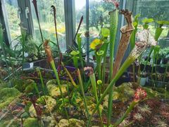 -北京植物园-展览温室